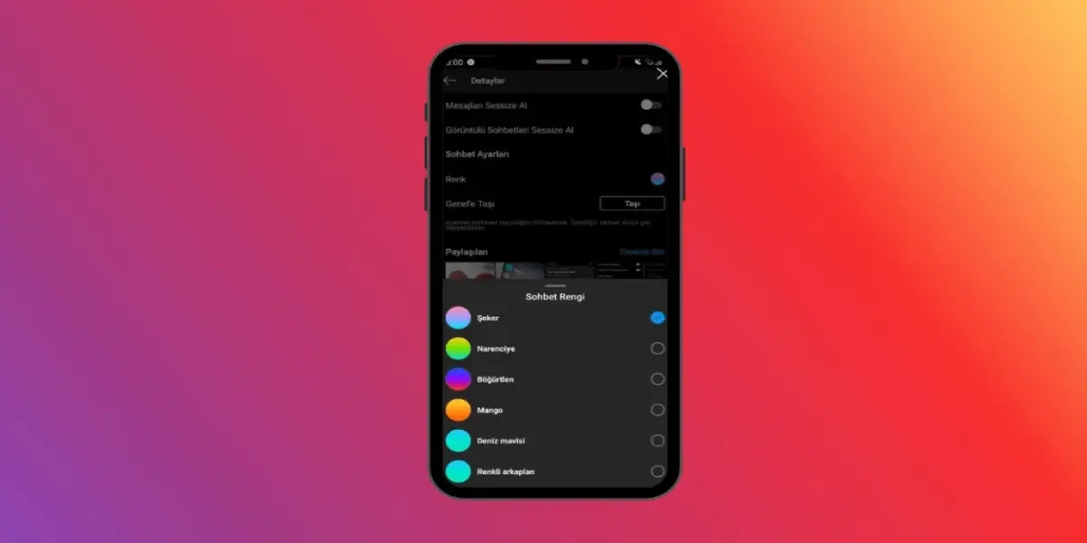 Görsel Instagram Sohbet Teması Rengi Değişimi